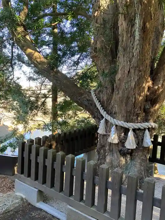 安房神社(千葉県)