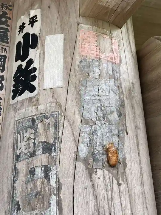 教恩寺の動物