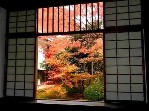 源光庵(京都府)