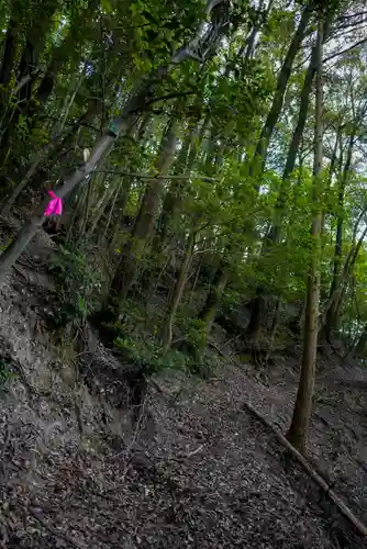 二井寺山極楽寺の周辺