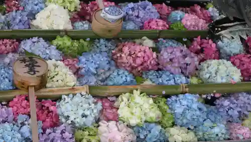 柳谷観音　楊谷寺(京都府)