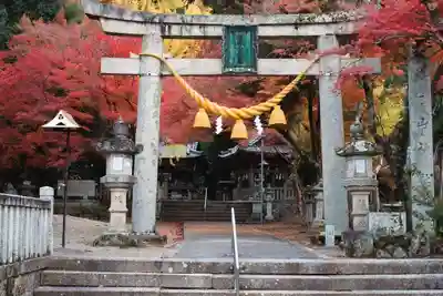 朝日山神社の鳥居