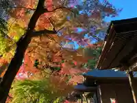 普門寺(切り絵御朱印発祥の寺)のその他建物