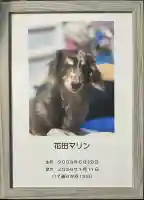 聖光寺の{uncategorized: "未分類", other: "その他", undefined: "問題あり", building: "その他建物", grave: "お墓", sacred_gate: "鳥居", guardian: "狛犬", statue: "像", buddha: "仏像", history: "歴史", nature: "自然", garden: "庭園", animal: "動物", pagoda: "塔", temizu: "手水舎", mountain_gate: "山門・神門", sanctuary: "本殿・本堂", subordinate: "末社・摂社", art: "芸術", scenery: "景色", jizo: "地蔵", ema: "絵馬", goshuin: "御朱印", omikuji: "おみくじ", items: "授与品その他", amulet: "お守り", goshuincho: "御朱印帳", eats: "食事", festival: "お祭り", votive_dance: "神楽", shichigosan: "七五三参", wedding: "結婚式", experience: "体験その他", initially: "初詣", around: "周辺", anti_infection: "感染症対策"}