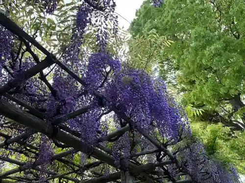 亀戸天神社(東京都)