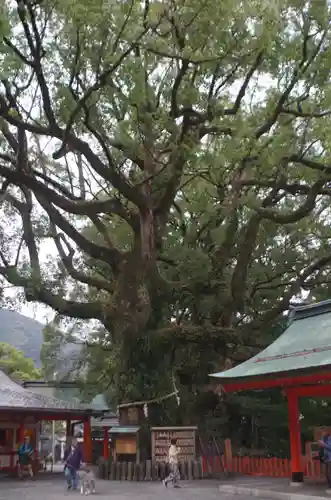 熊野那智大社(和歌山県)