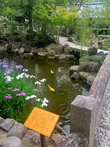 西宮神社(兵庫県)