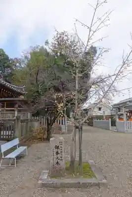 津島神社の自然