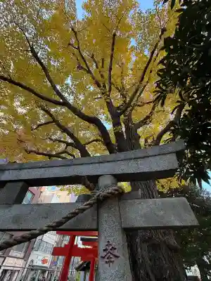 千種稲荷神社(東京都)
