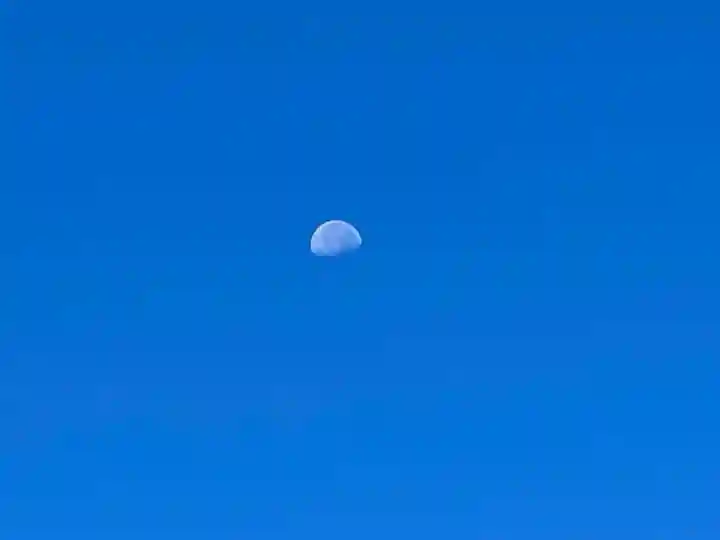 伊勢の国 四天王寺(三重県)