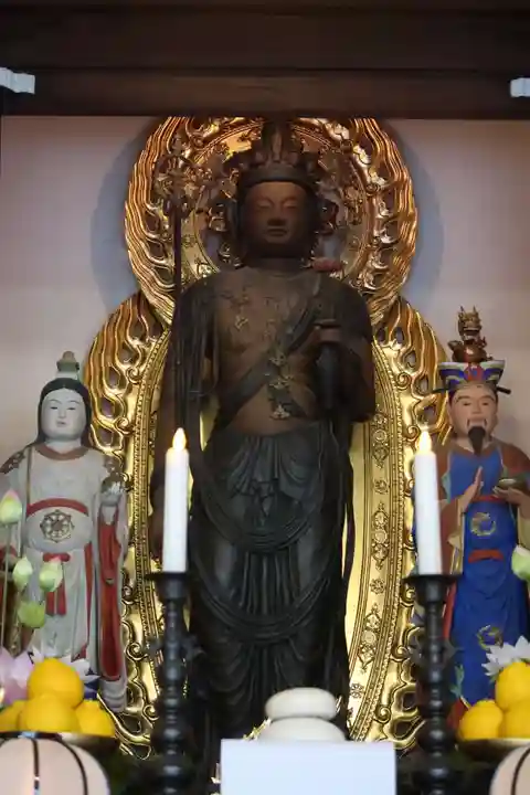 地蔵院(椿寺)(京都府)