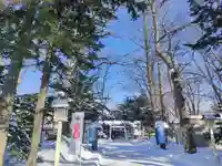 新琴似神社の初詣
