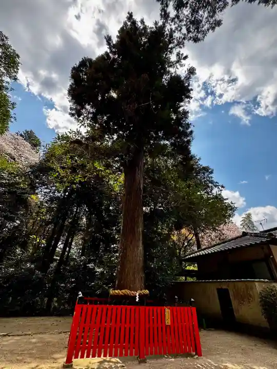 鷺森神社(京都府)