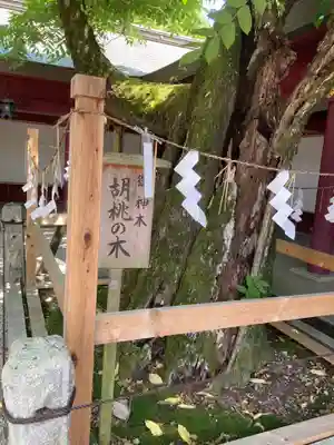 笠間稲荷神社(茨城県)