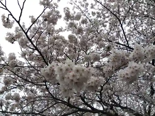 江守神社(福井県)