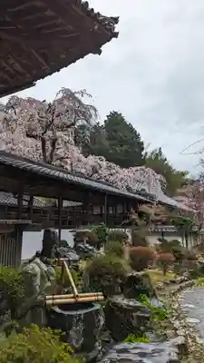 十輪寺(京都府)