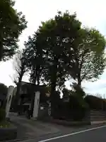 慶性院の山門・神門