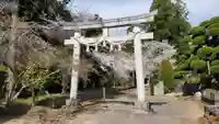 松山神社の鳥居
