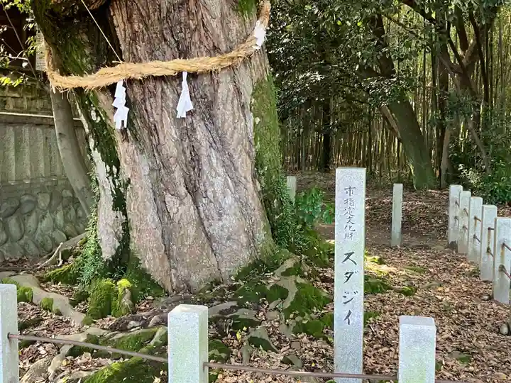 野見神社(愛知県)