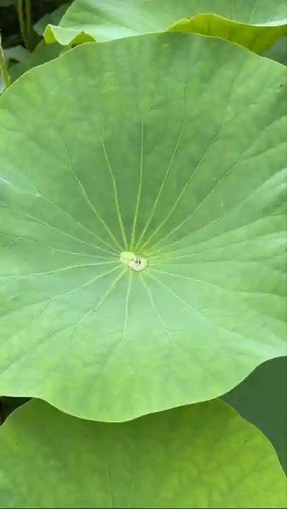 稲泉寺(長野県)
