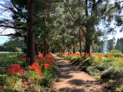 熊野神社のその他建物