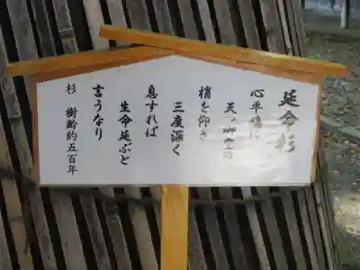 手長神社のその他建物