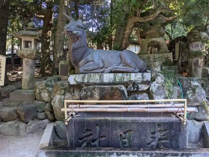 春日大社の手水舎