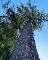 滑川神社 - 仕事と子どもの守り神の自然