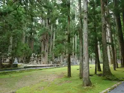 高野山金剛峯寺奥の院(和歌山県)
