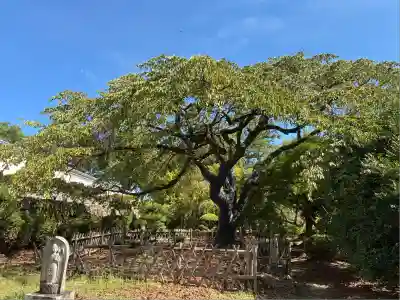 九品寺(奈良県)