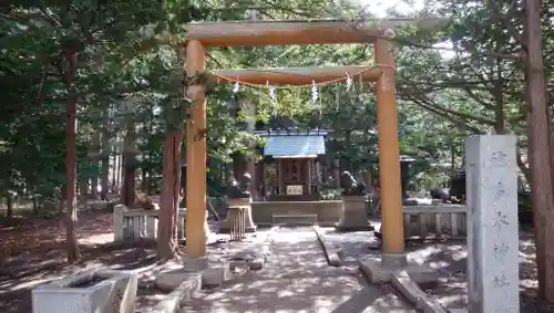 北海道神宮の鳥居