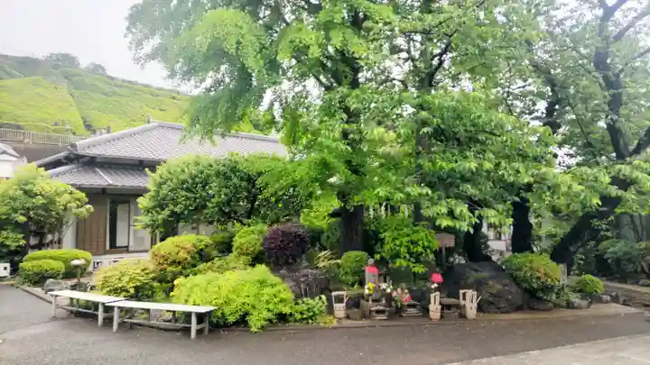 養源寺(東京都)