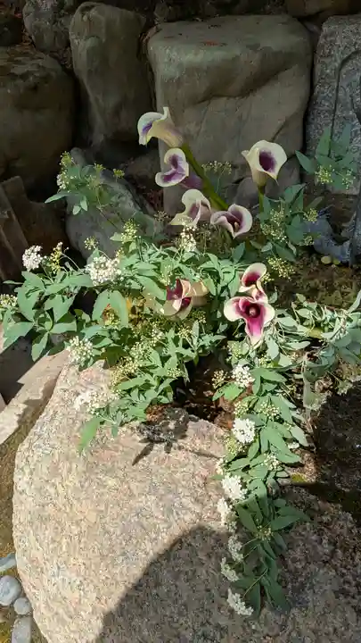 八大神社(京都府)