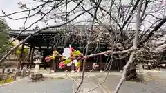 本法寺(京都府)