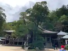 青岸渡寺の本殿