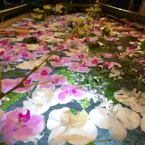 住吉神社の手水舎