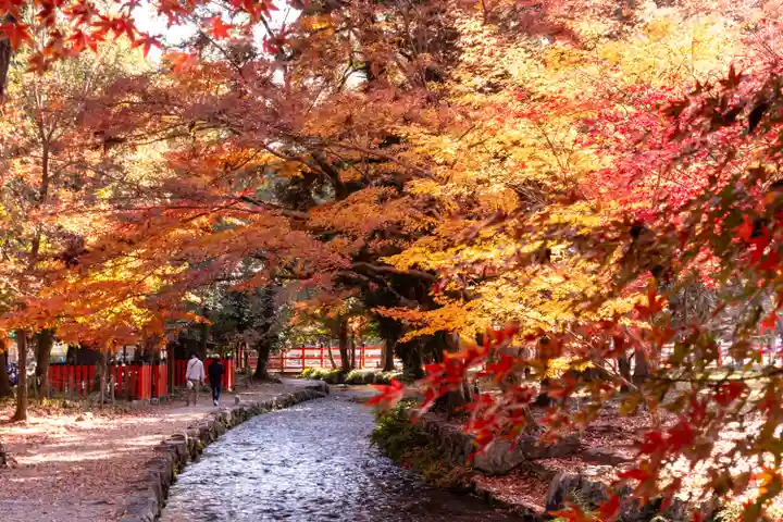 賀茂別雷神社(上賀茂神社)(京都府)