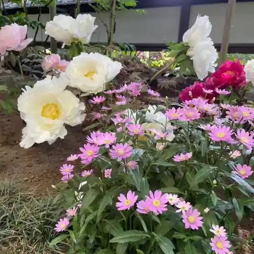 上野東照宮の自然