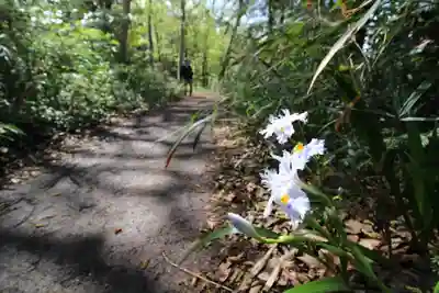 弘法山 大師堂(神奈川県)