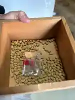 一畑山薬師寺 岡崎本堂の{uncategorized: "未分類", other: "その他", undefined: "問題あり", building: "その他建物", grave: "お墓", sacred_gate: "鳥居", guardian: "狛犬", statue: "像", buddha: "仏像", history: "歴史", nature: "自然", garden: "庭園", animal: "動物", pagoda: "塔", temizu: "手水舎", mountain_gate: "山門・神門", sanctuary: "本殿・本堂", subordinate: "末社・摂社", art: "芸術", scenery: "景色", jizo: "地蔵", ema: "絵馬", goshuin: "御朱印", omikuji: "おみくじ", items: "授与品その他", amulet: "お守り", goshuincho: "御朱印帳", eats: "食事", festival: "お祭り", votive_dance: "神楽", shichigosan: "七五三参", wedding: "結婚式", experience: "体験その他", initially: "初詣", around: "周辺", anti_infection: "感染症対策"}