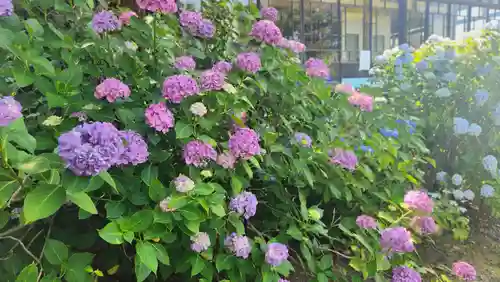 山神社(宮城県)