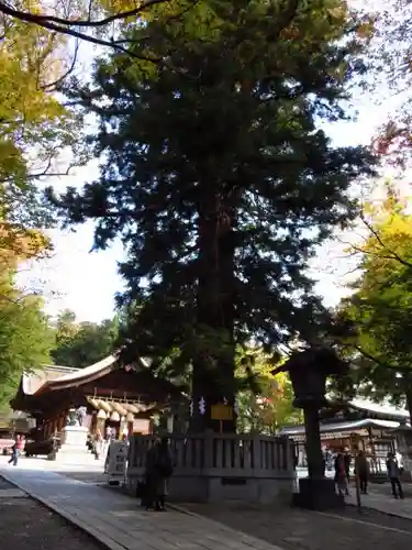 諏訪大社下社秋宮の建物その他