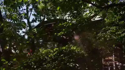 堀越神社(大阪府)