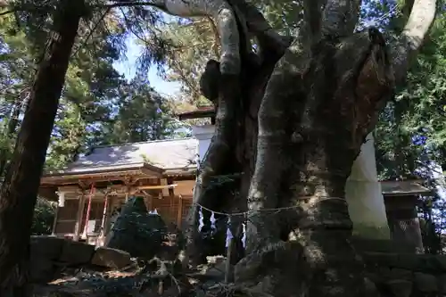 黒沼神社(福島県)
