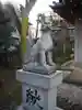 椎木稲荷神社の狛犬