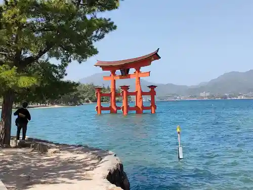 厳島神社(広島県)