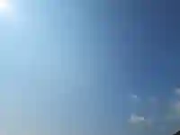 屋久島大社の動物