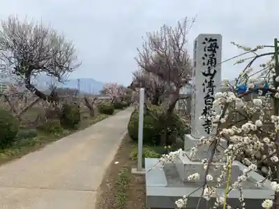 清白寺のその他建物