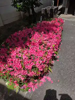梅島天満宮(東京都)
