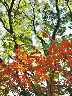 浄土寺(兵庫県)